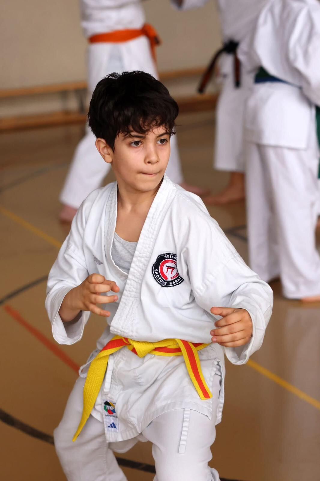 Junger Karateka im Training